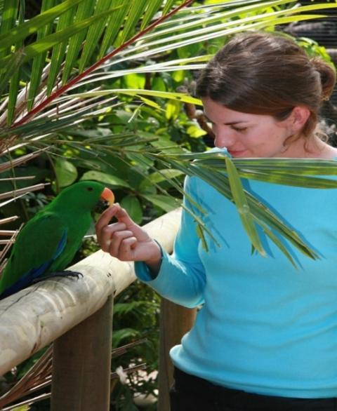 Daintree Wild Bed & Breakfast Buitenkant foto