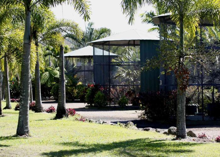 Daintree Wild Bed & Breakfast Buitenkant foto