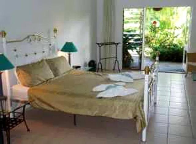 Daintree Wild Bed & Breakfast Buitenkant foto