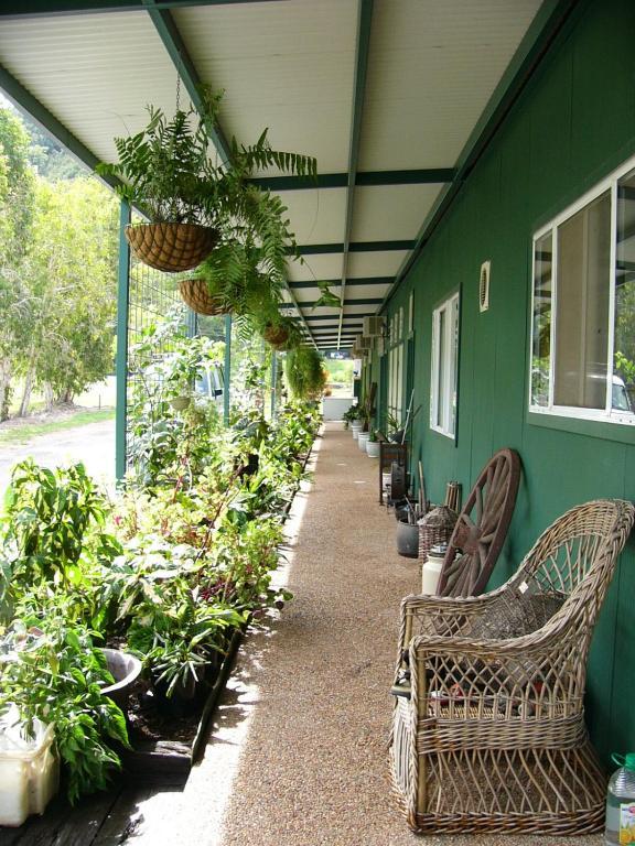 Daintree Wild Bed & Breakfast Buitenkant foto