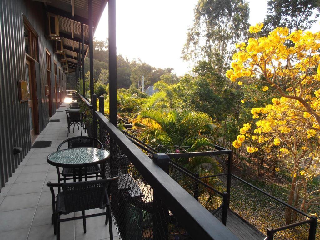 Daintree Wild Bed & Breakfast Kamer foto