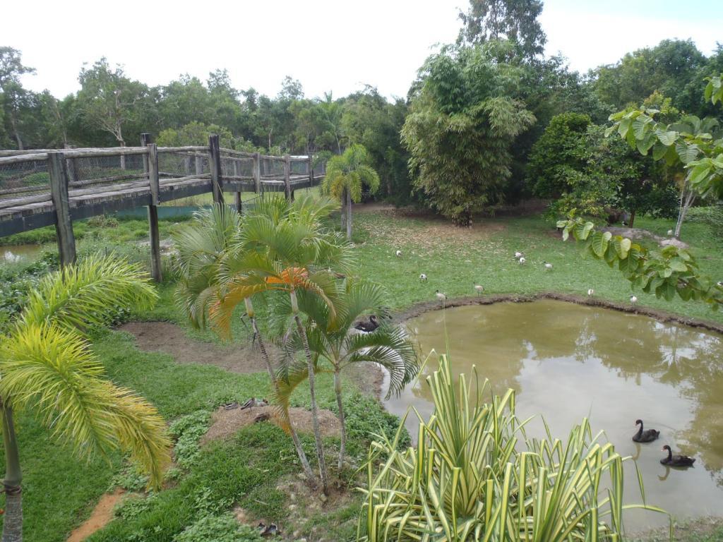 Daintree Wild Bed & Breakfast Buitenkant foto