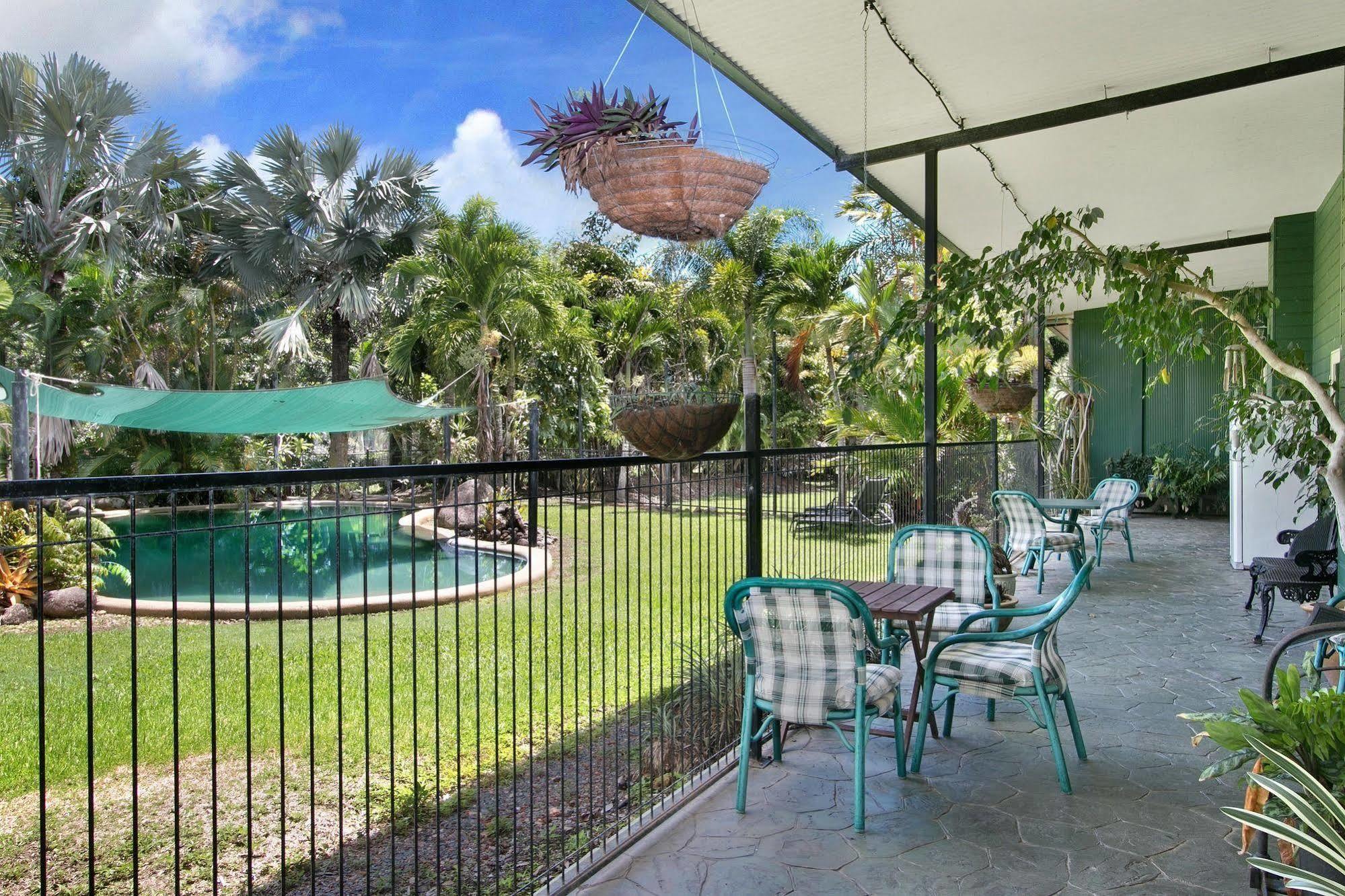 Daintree Wild Bed & Breakfast Buitenkant foto