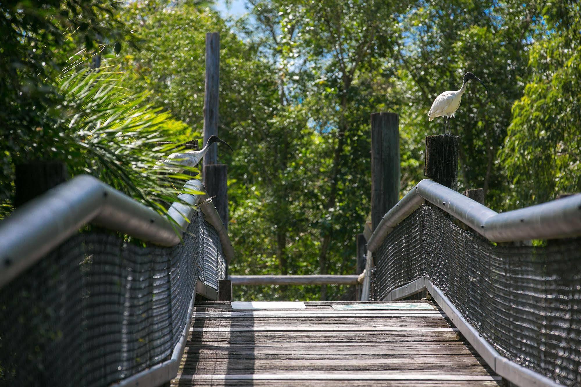 Daintree Wild Bed & Breakfast Buitenkant foto